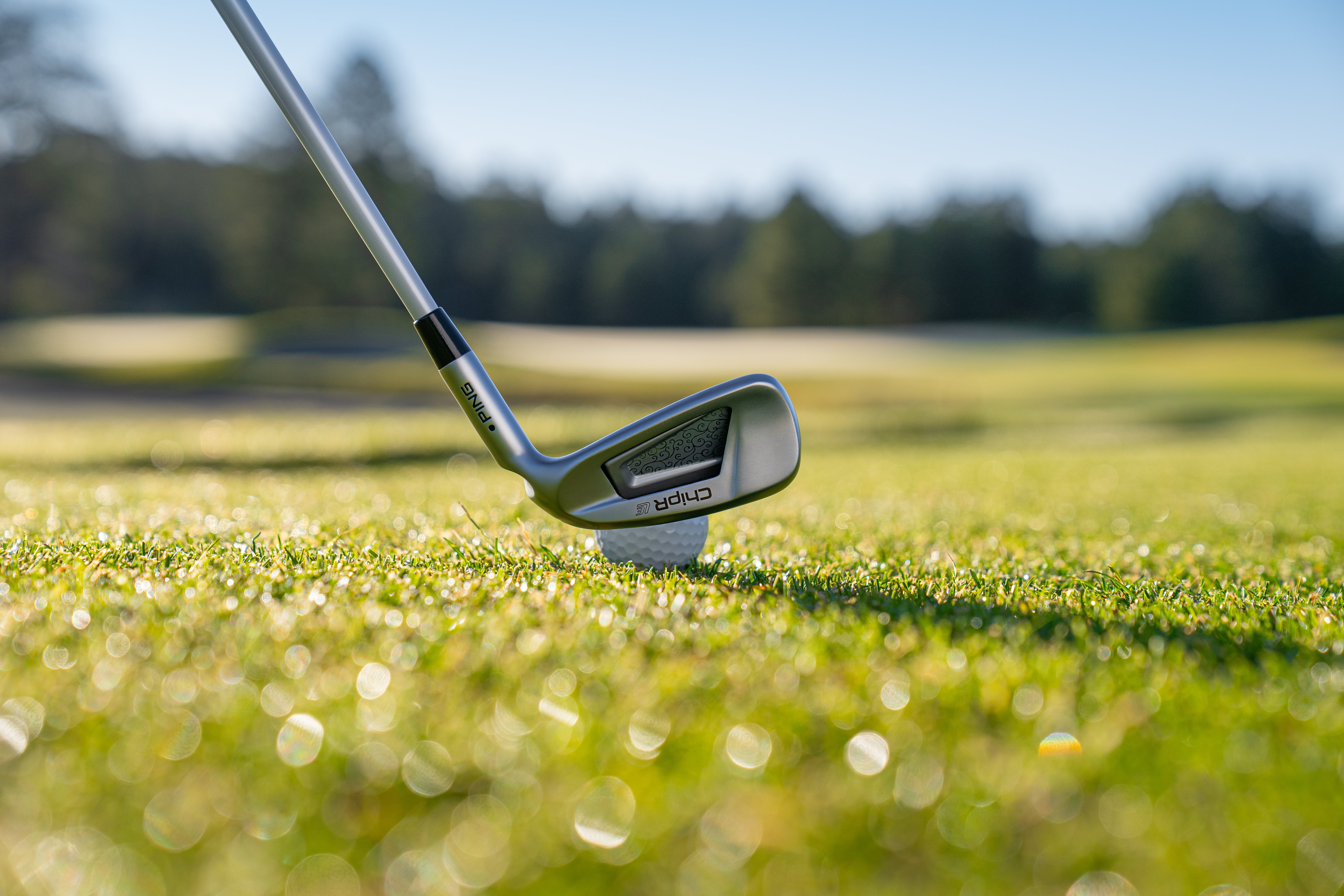 PING ChipR Le (Graphite Shaft)