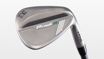 PING Prodi G Wedge